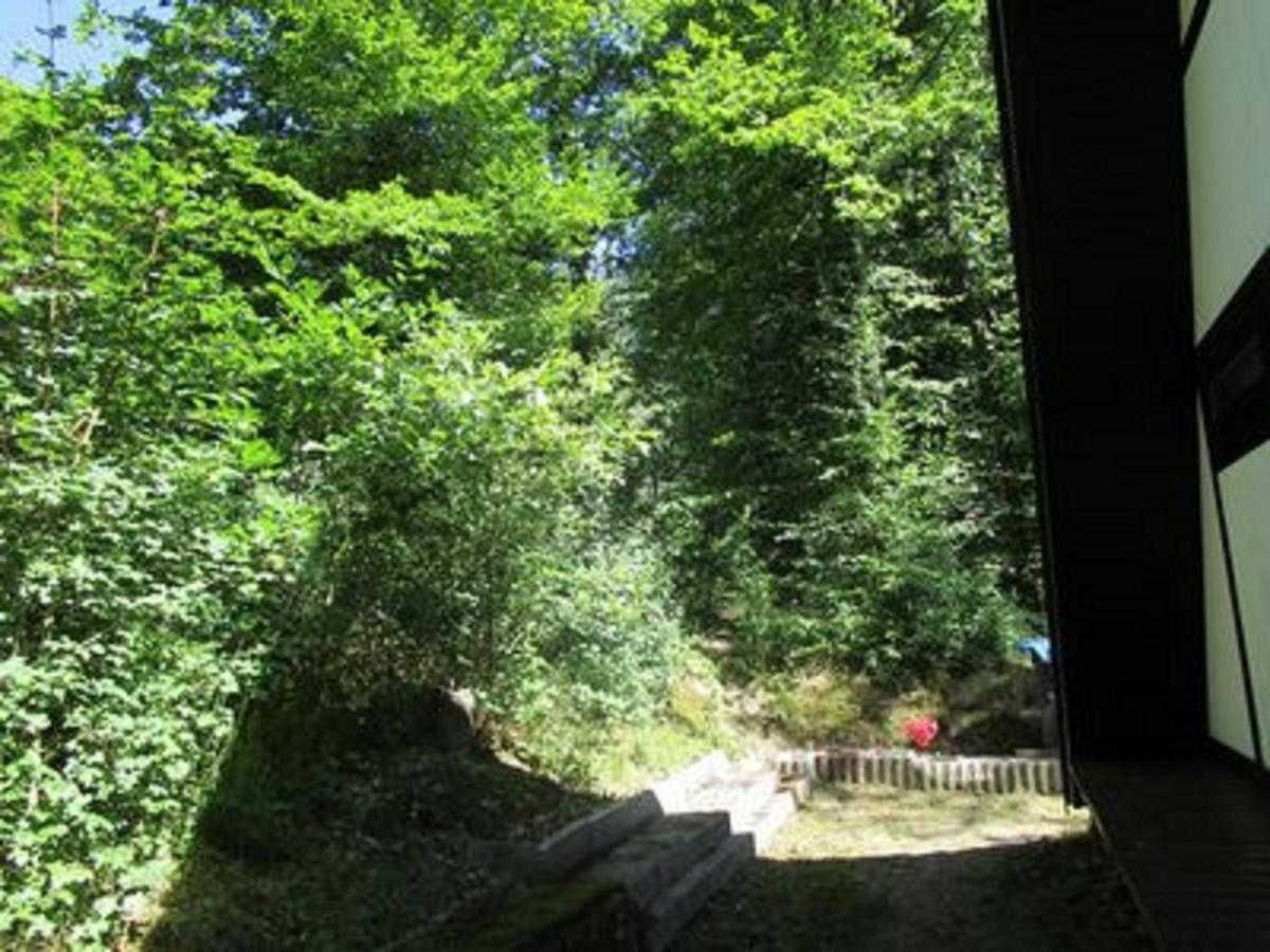 Feriendorf Sulzfeld Villa Sulzfeld  Buitenkant foto